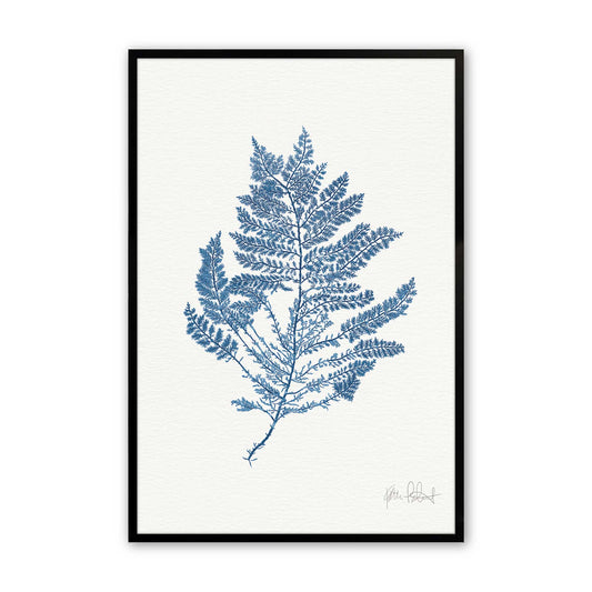 [Color:Satin Black],Front image of the art