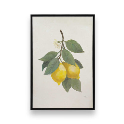 [Color:Satin Black], Front image of the art