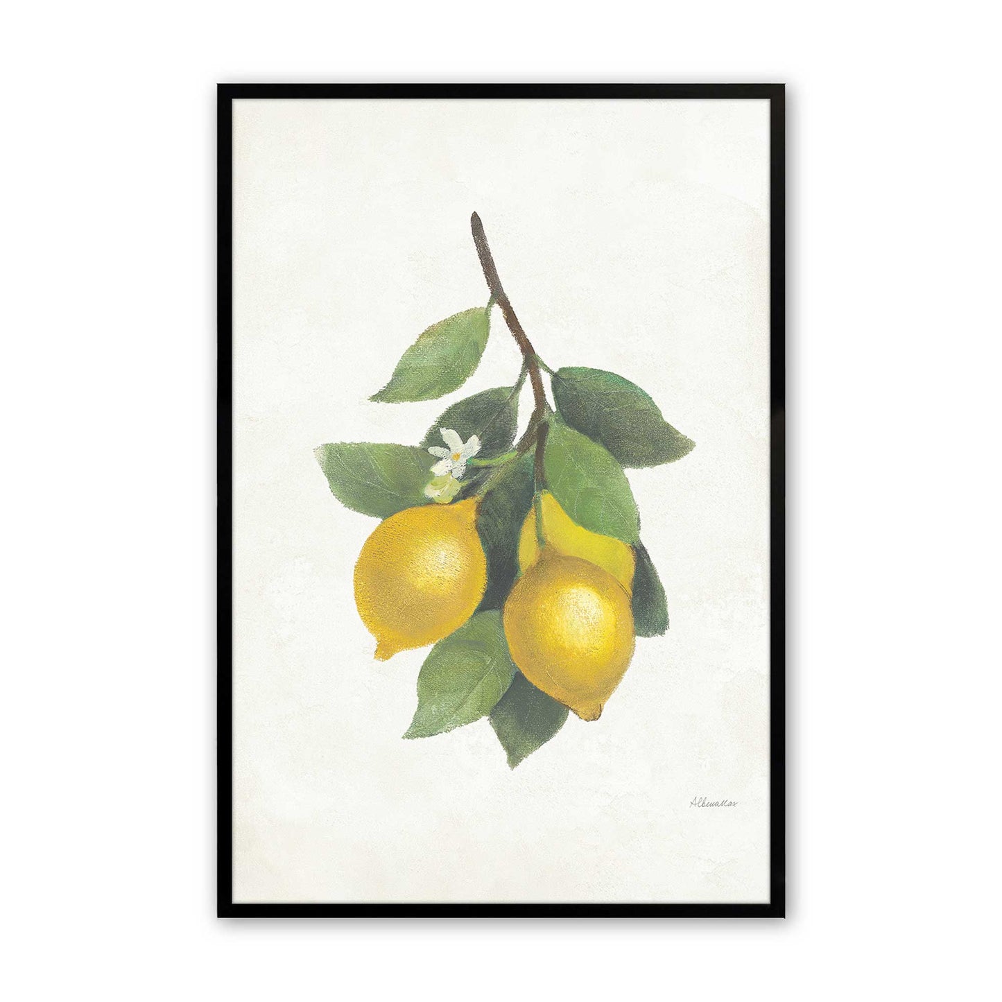 [Color:Satin Black],Front image of the art