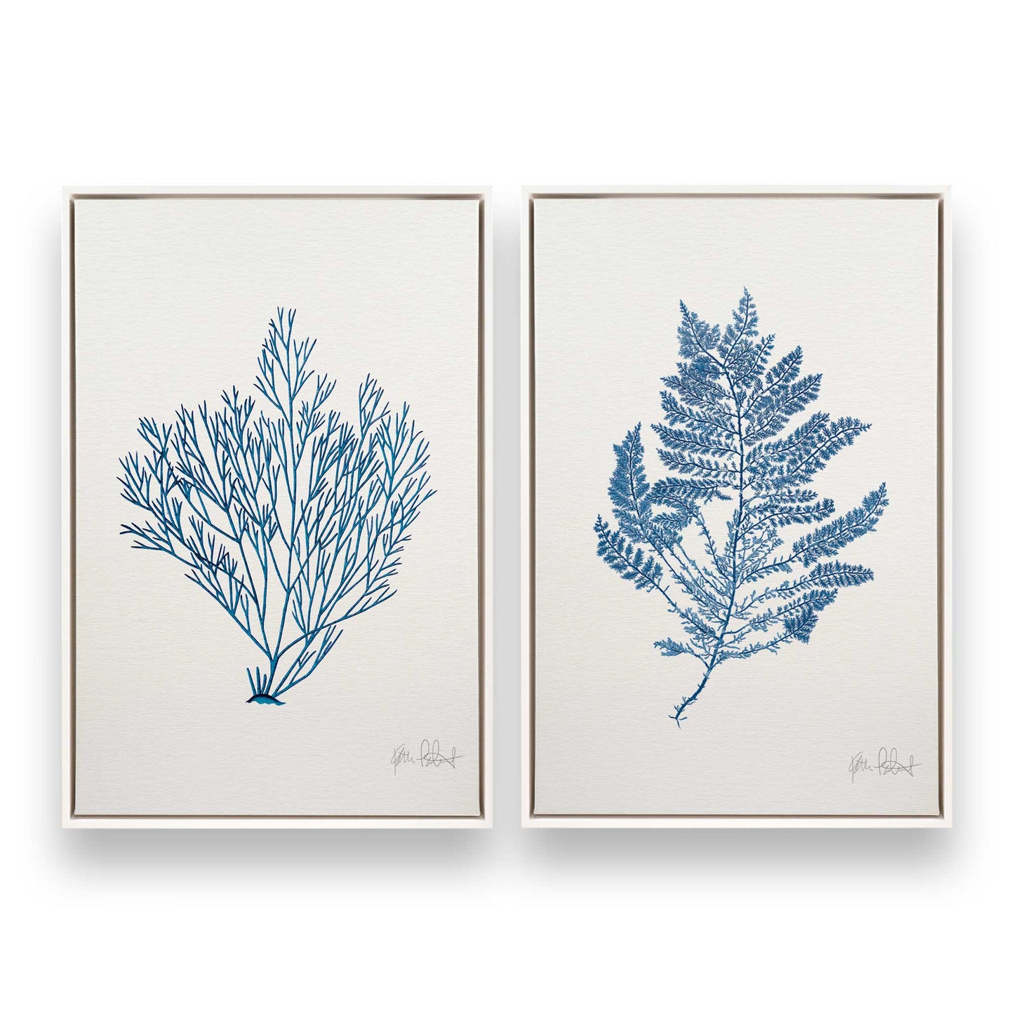 [Color:Opaque White], Picture of art in a White frame