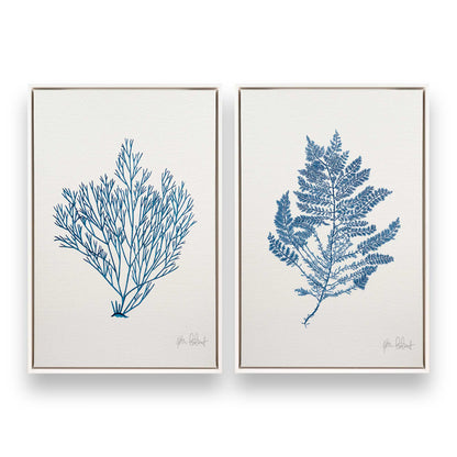 [Color:Opaque White], Picture of art in a White frame