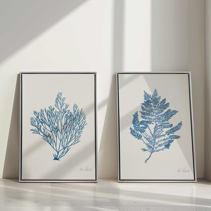 Blue Nature Studies Canvas Print, Set of 2