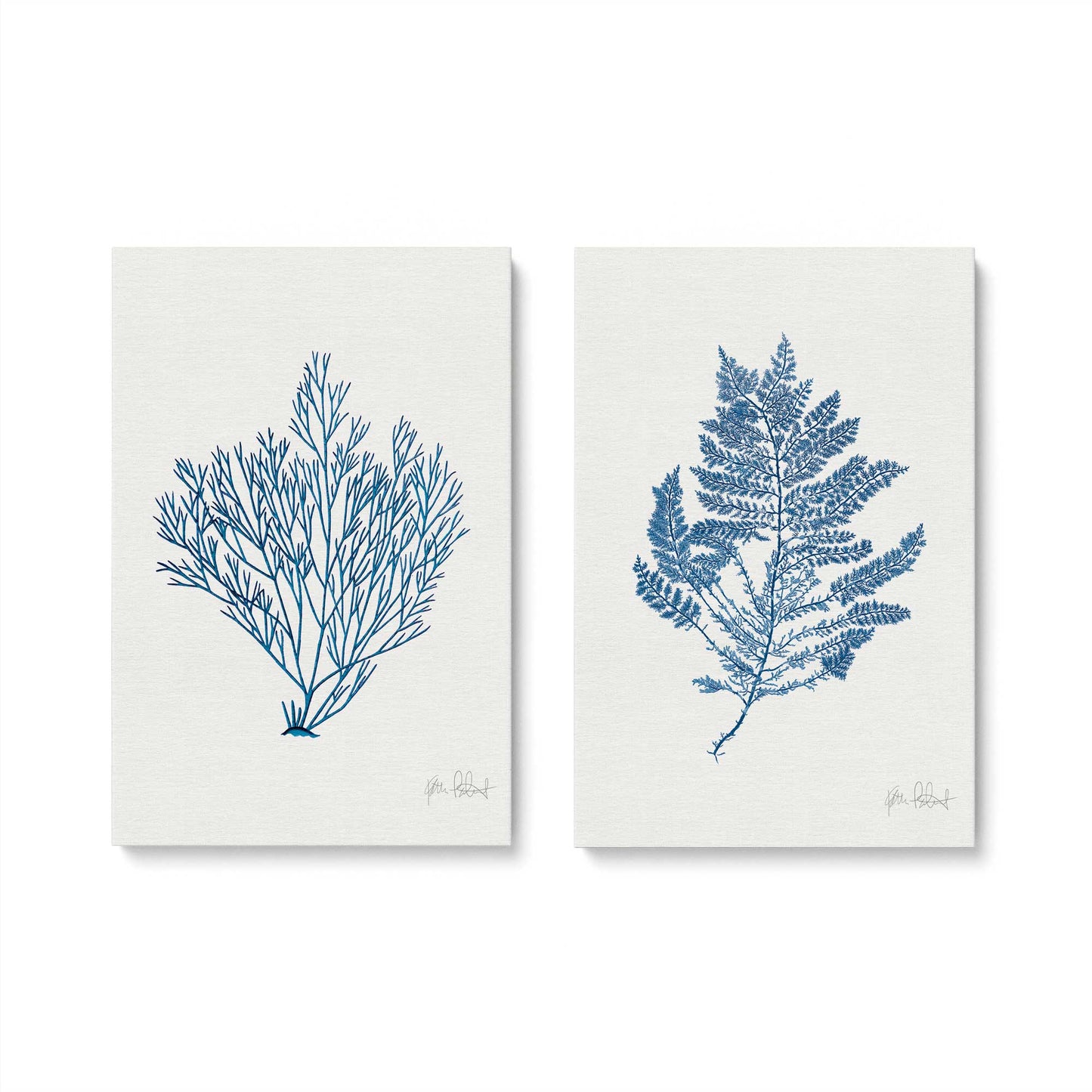 [Color:Stretched Canvas], Picture of art