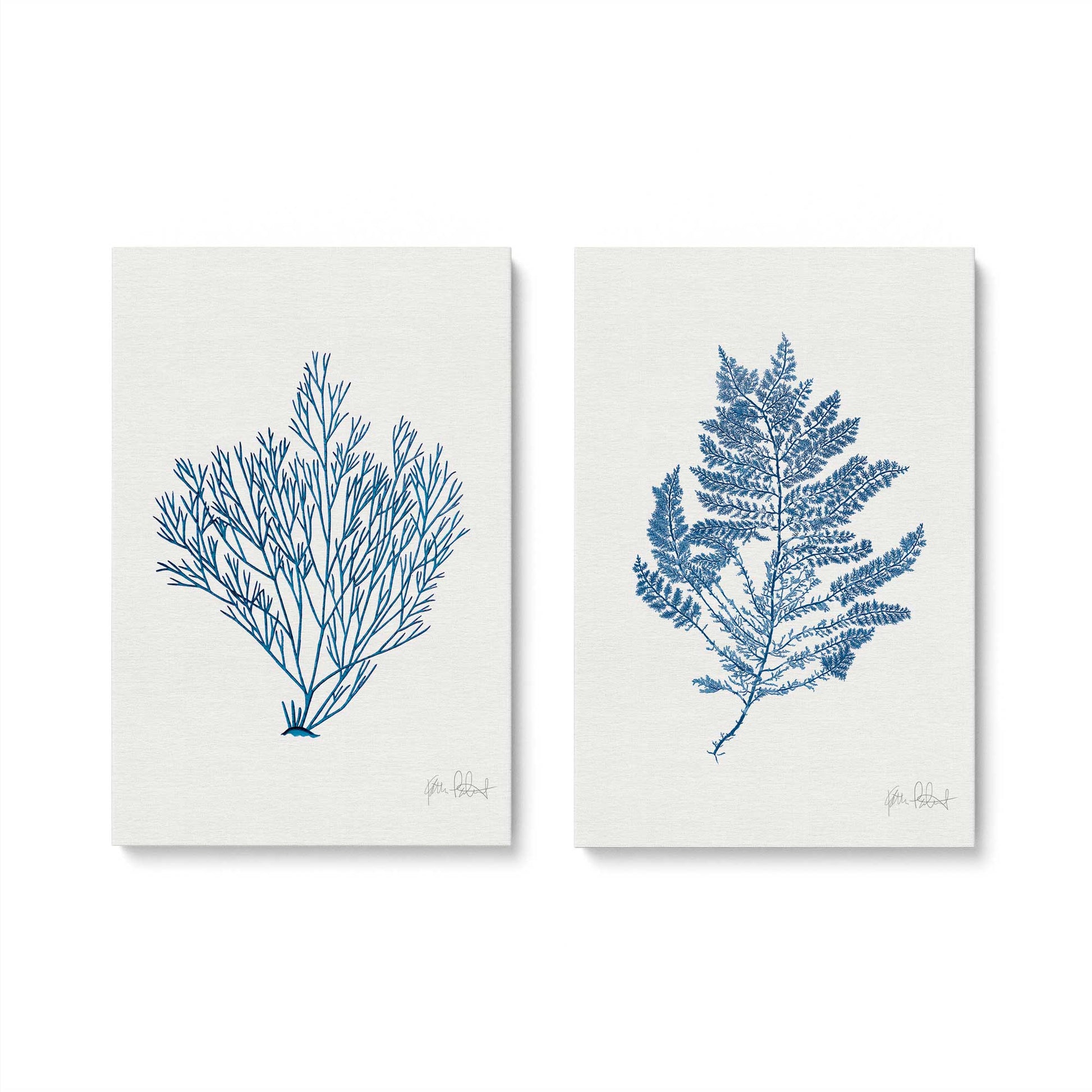 [Color:Stretched Canvas], Picture of art