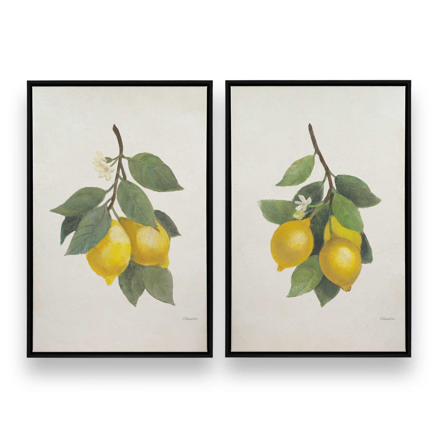 [Color:Satin Black], Front image of the art