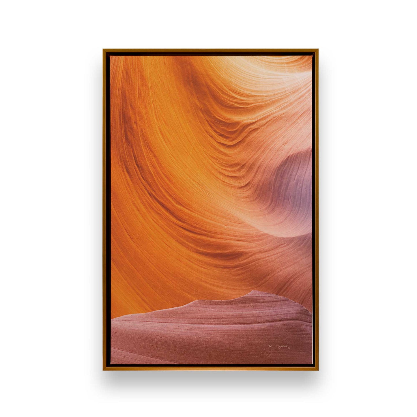 Nature's Sculpture Canvas Print