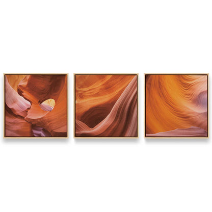 [Color:American Maple], Picture of art in a American Maple frame