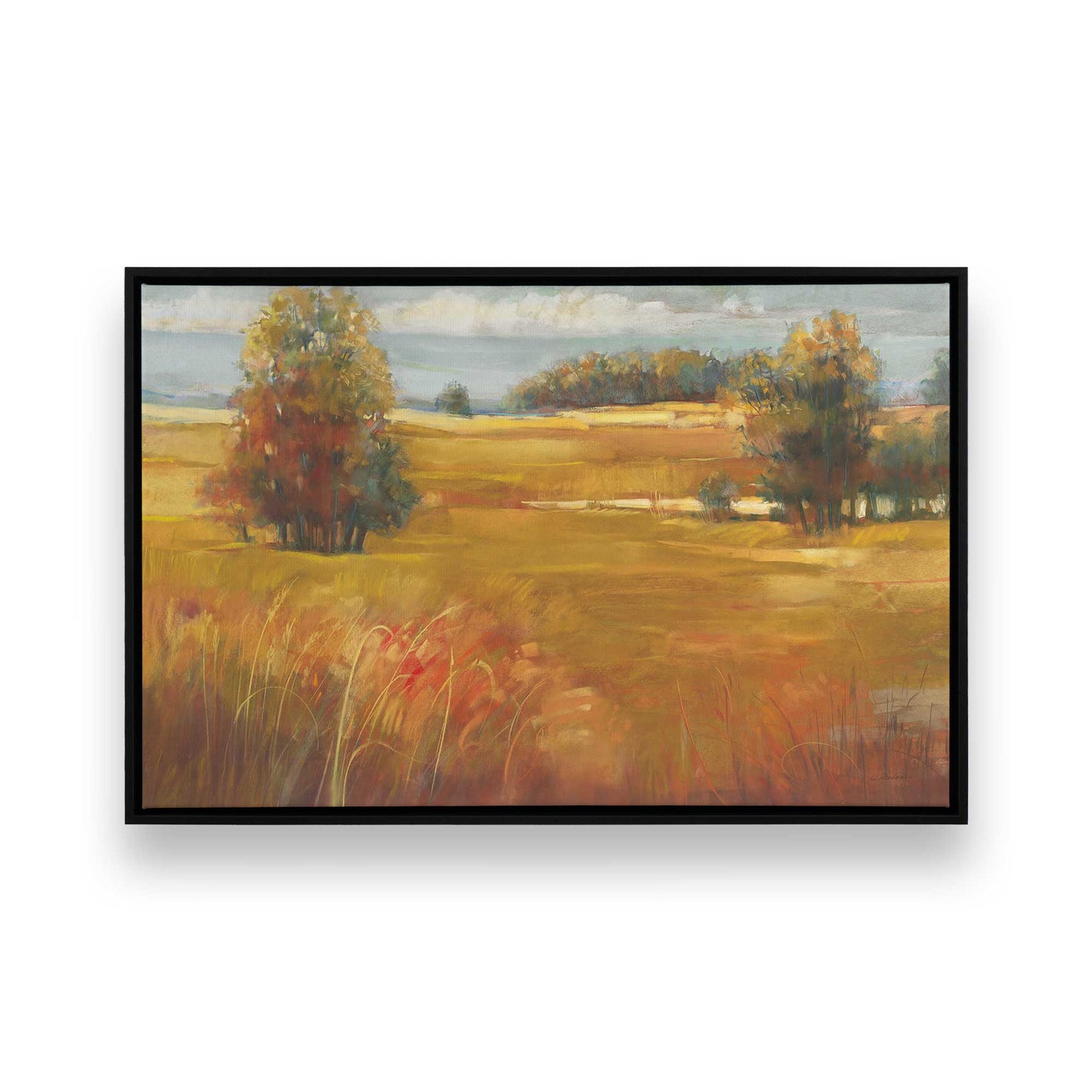 [Color:Satin Black], Picture of art in a Satin Black frame