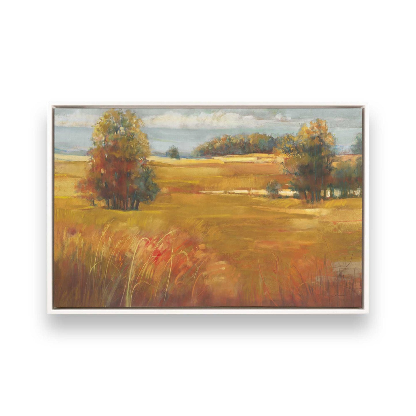 [Color:Opaque White], Picture of art in a White frame