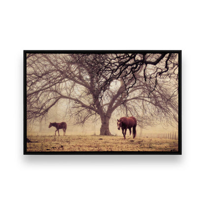 [Color:Satin Black], Front of the art