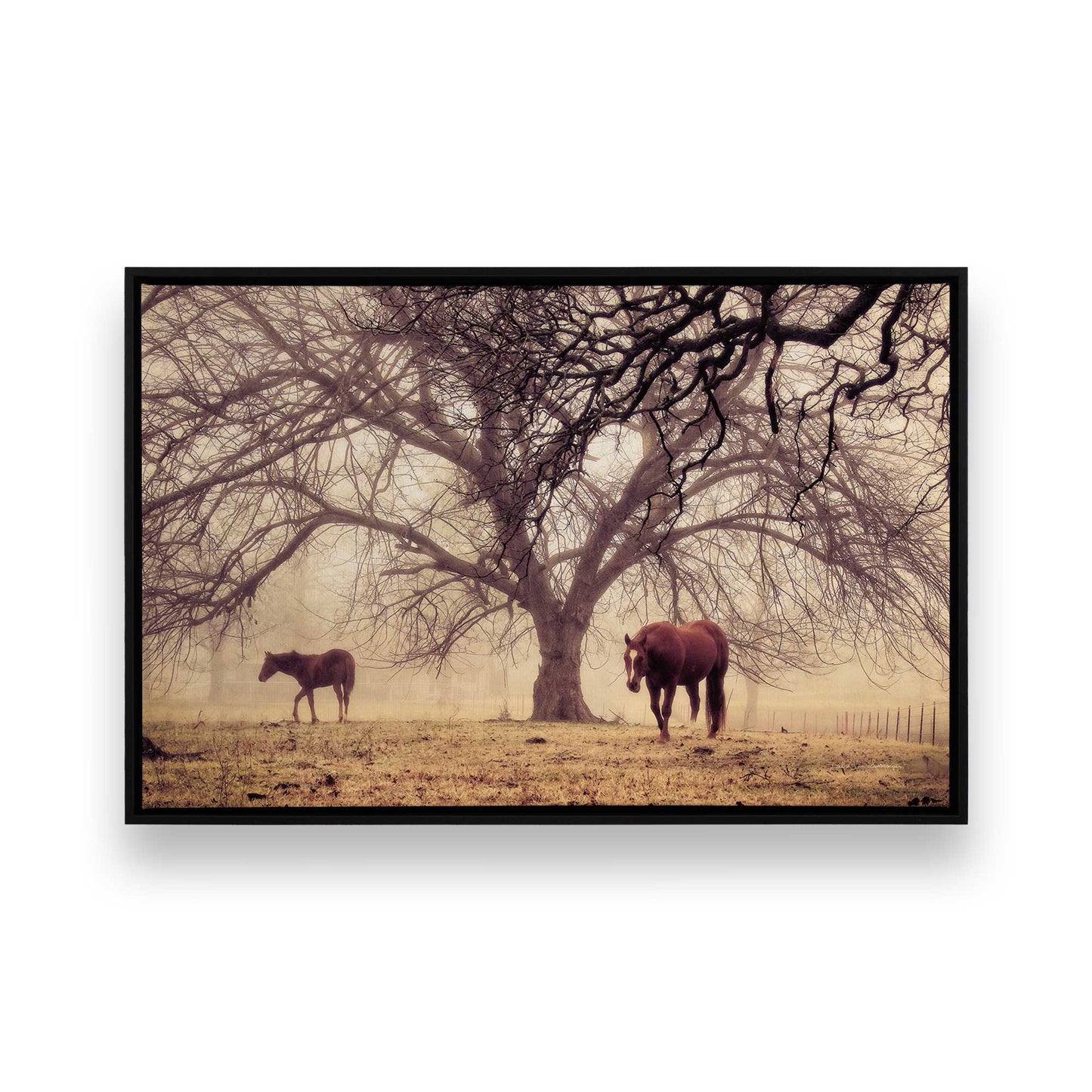 [Color:Satin Black], Picture of art in a Satin Black frame