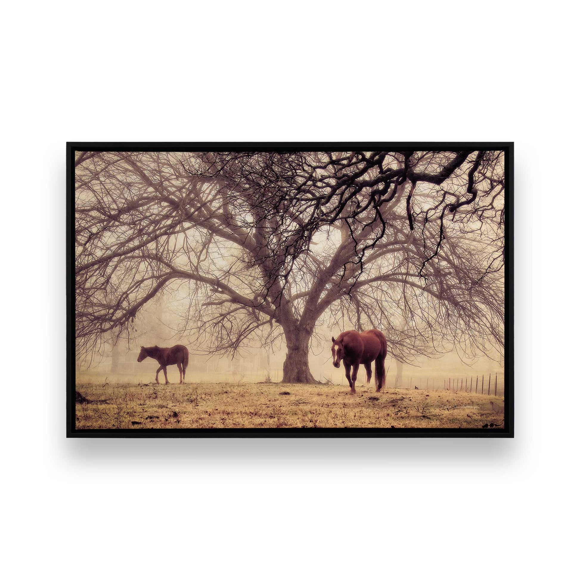 [Color:Satin Black], Picture of art in a Satin Black frame