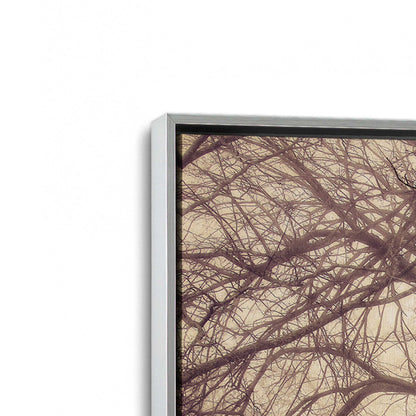 [Color:Polished Chrome], Picture of art in a Polished Chrome frame at an angle