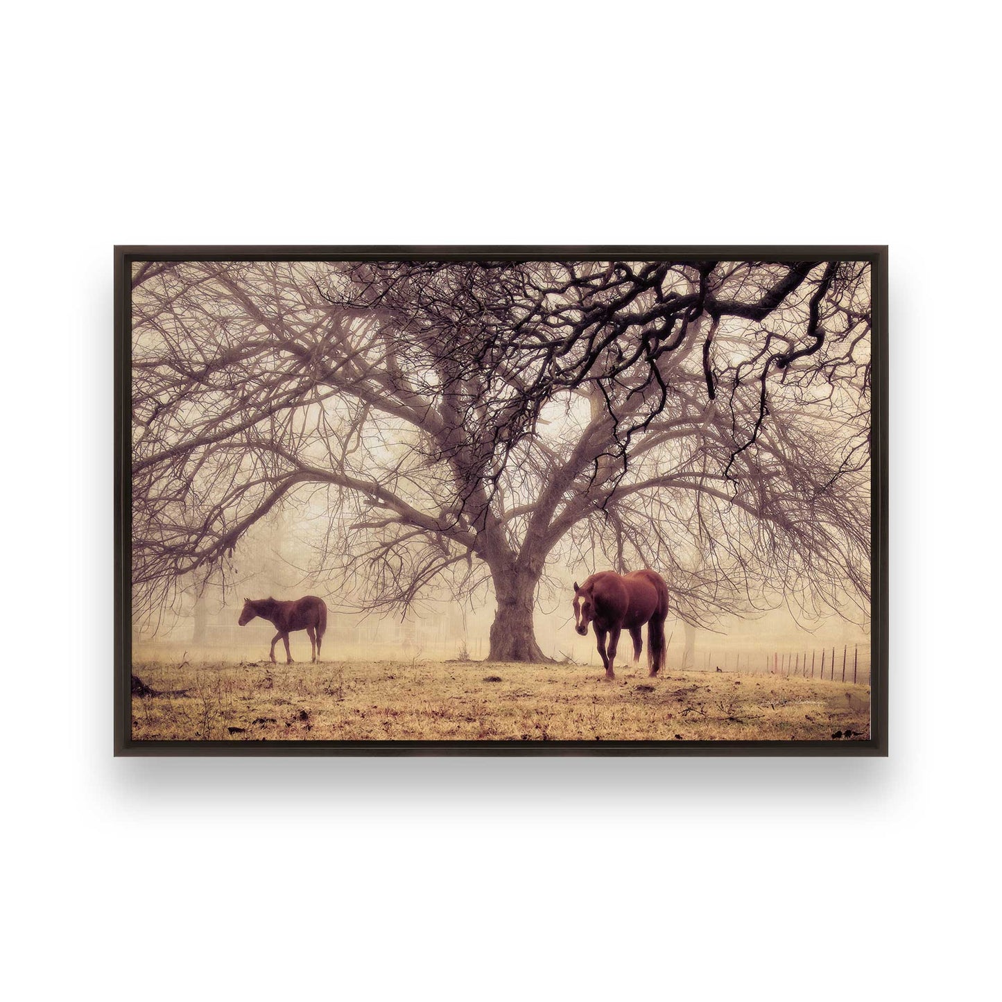 [Color:Espresso], Picture of art in a Espresso frame