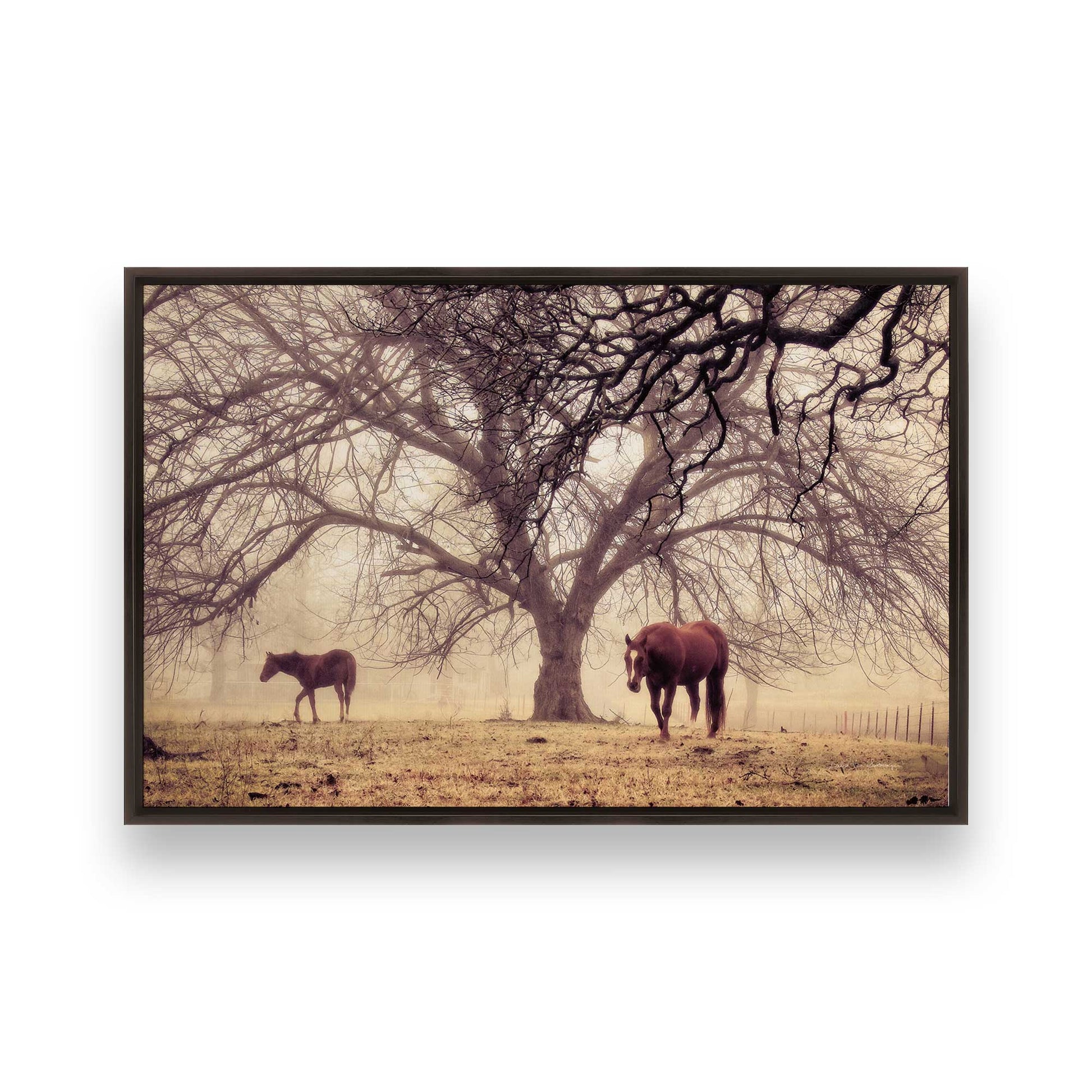 [Color:Espresso], Picture of art in a Espresso frame