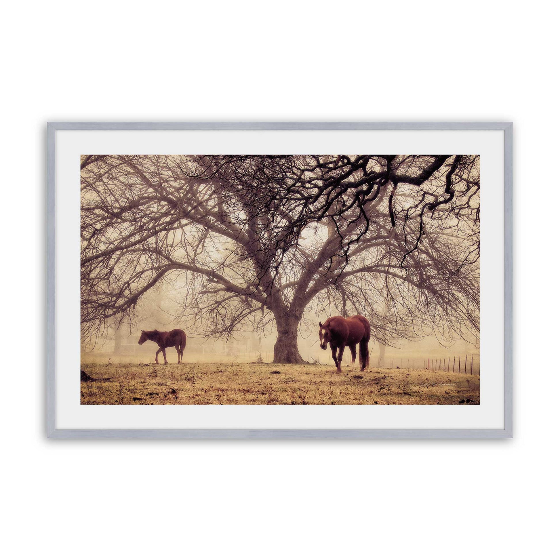 [Color:Polished Chrome], Picture of art in a Polished Chrome frame