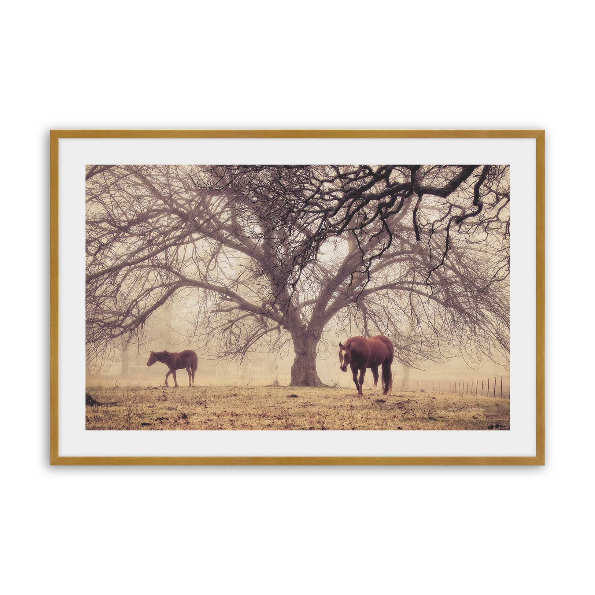 [Color:Polished Gold], Picture of art in a Polished Gold frame