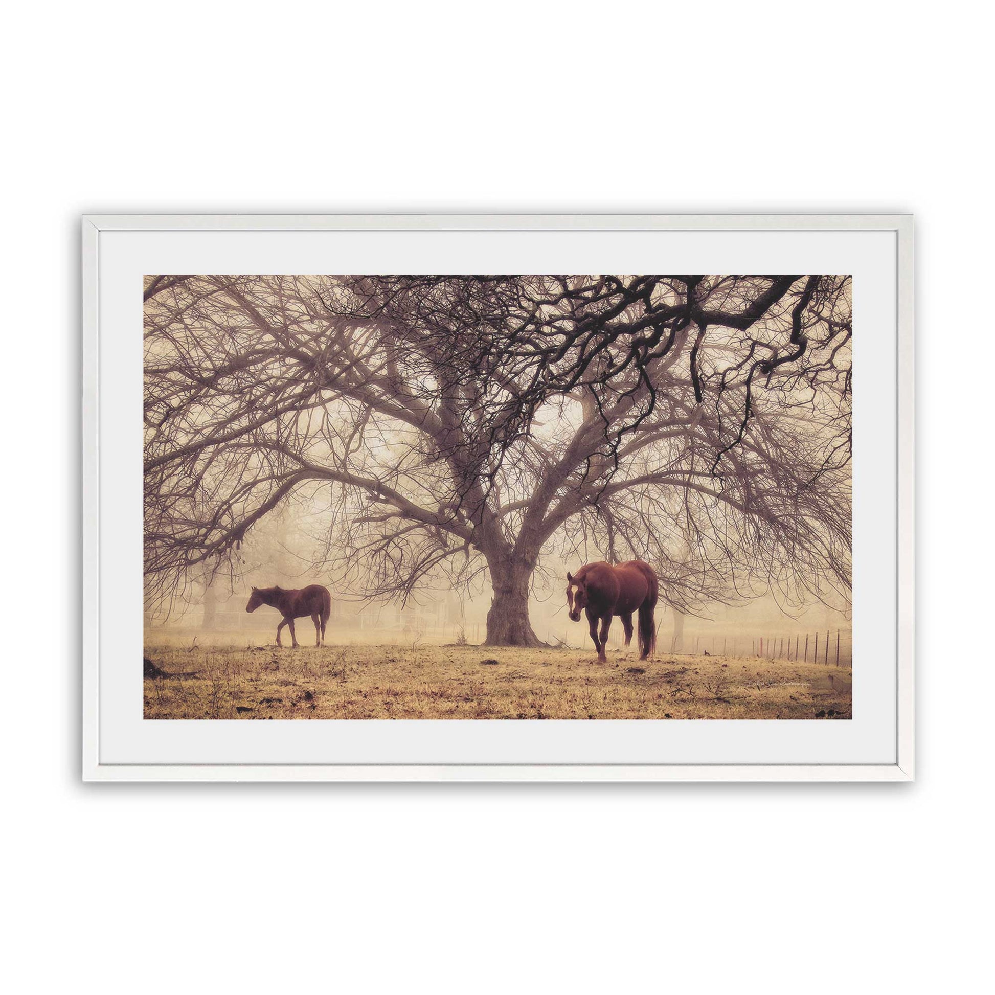 [Color:Opaque White], Picture of art in a Opaque White frame