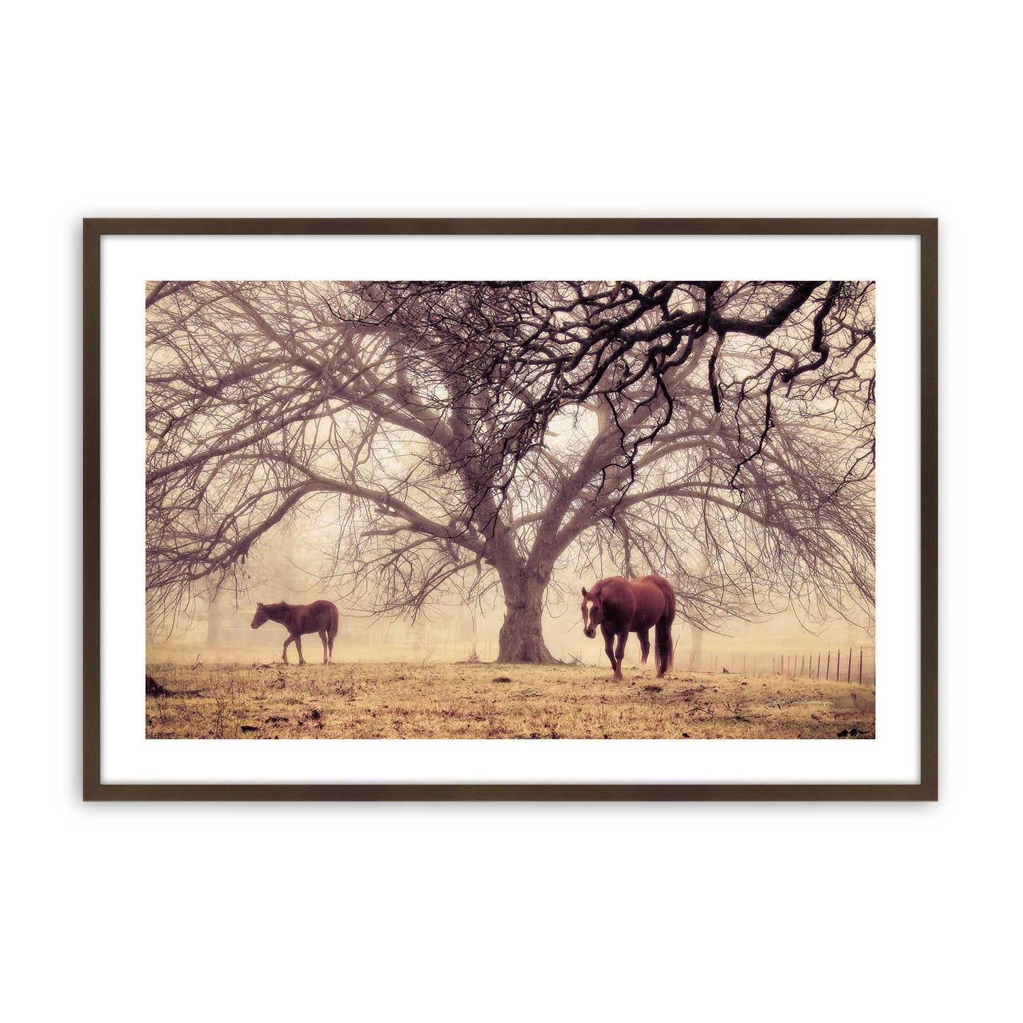 [Color:Brown], Picture of art in a Brown frame