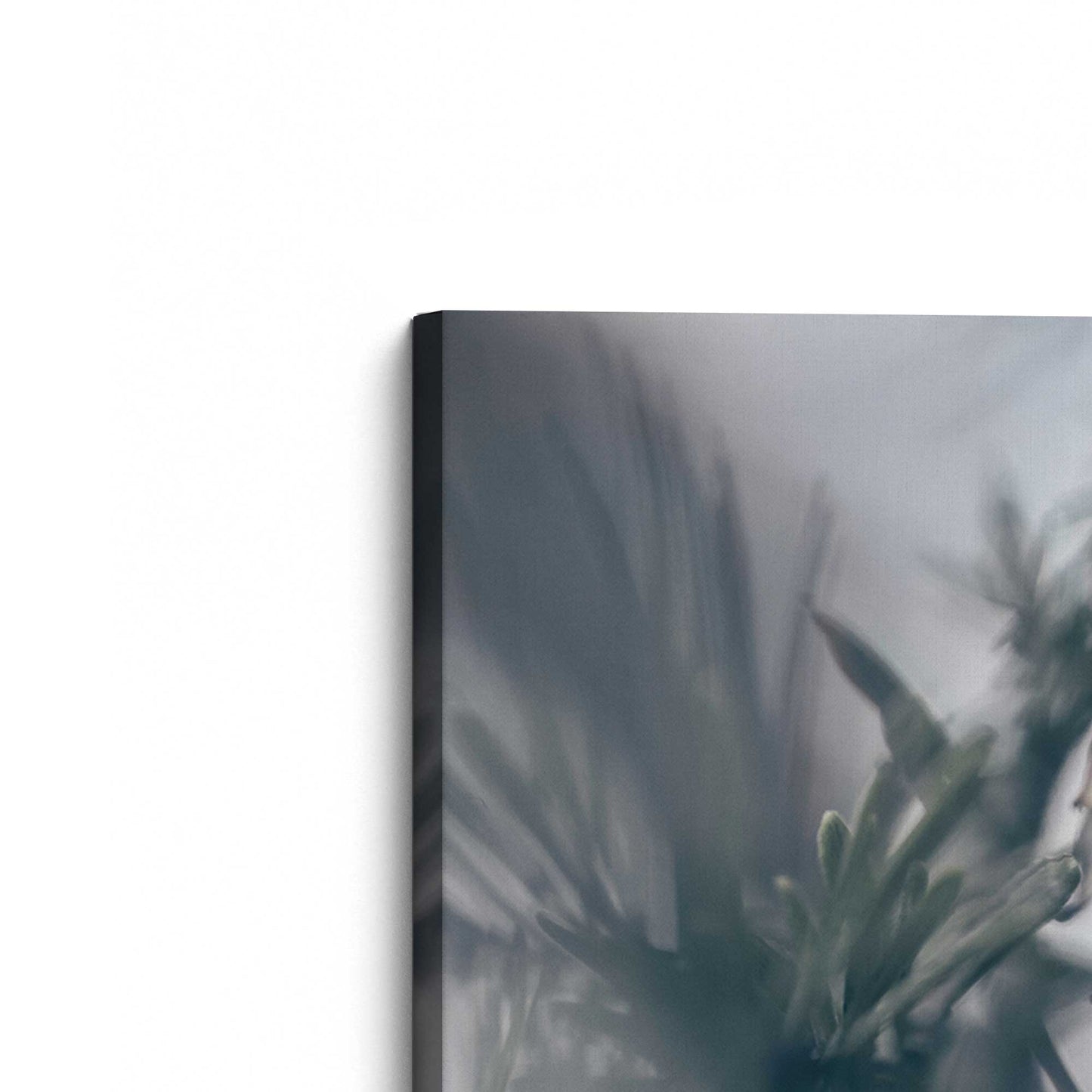 [Color:Stretched Canvas], Picture of the corner of the art