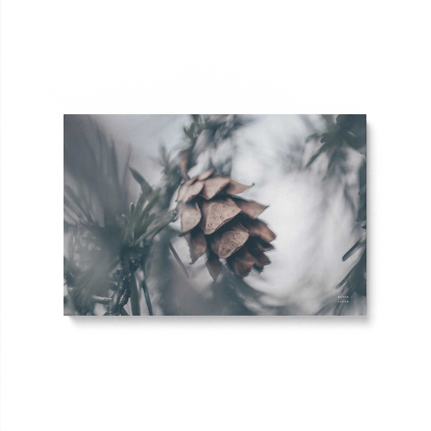 [Color:Stretched Canvas], Picture of art