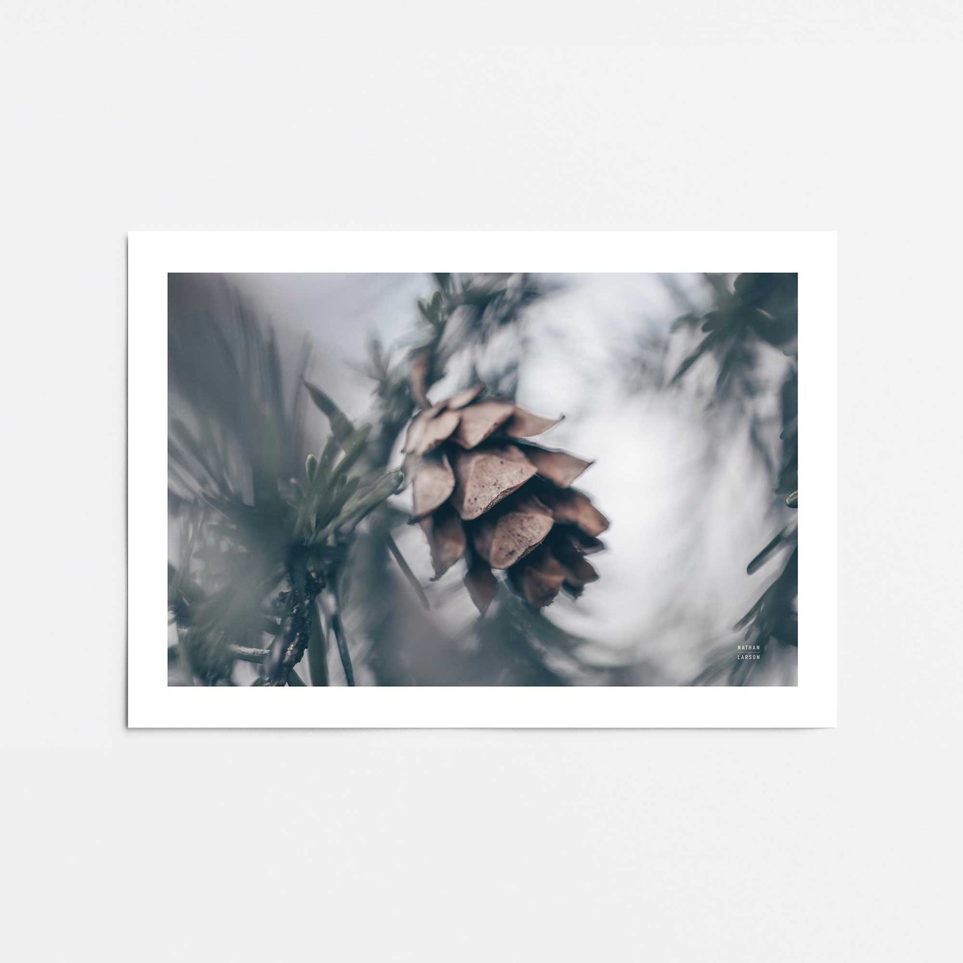 [Color:Rolled Print], Picture of close up of art