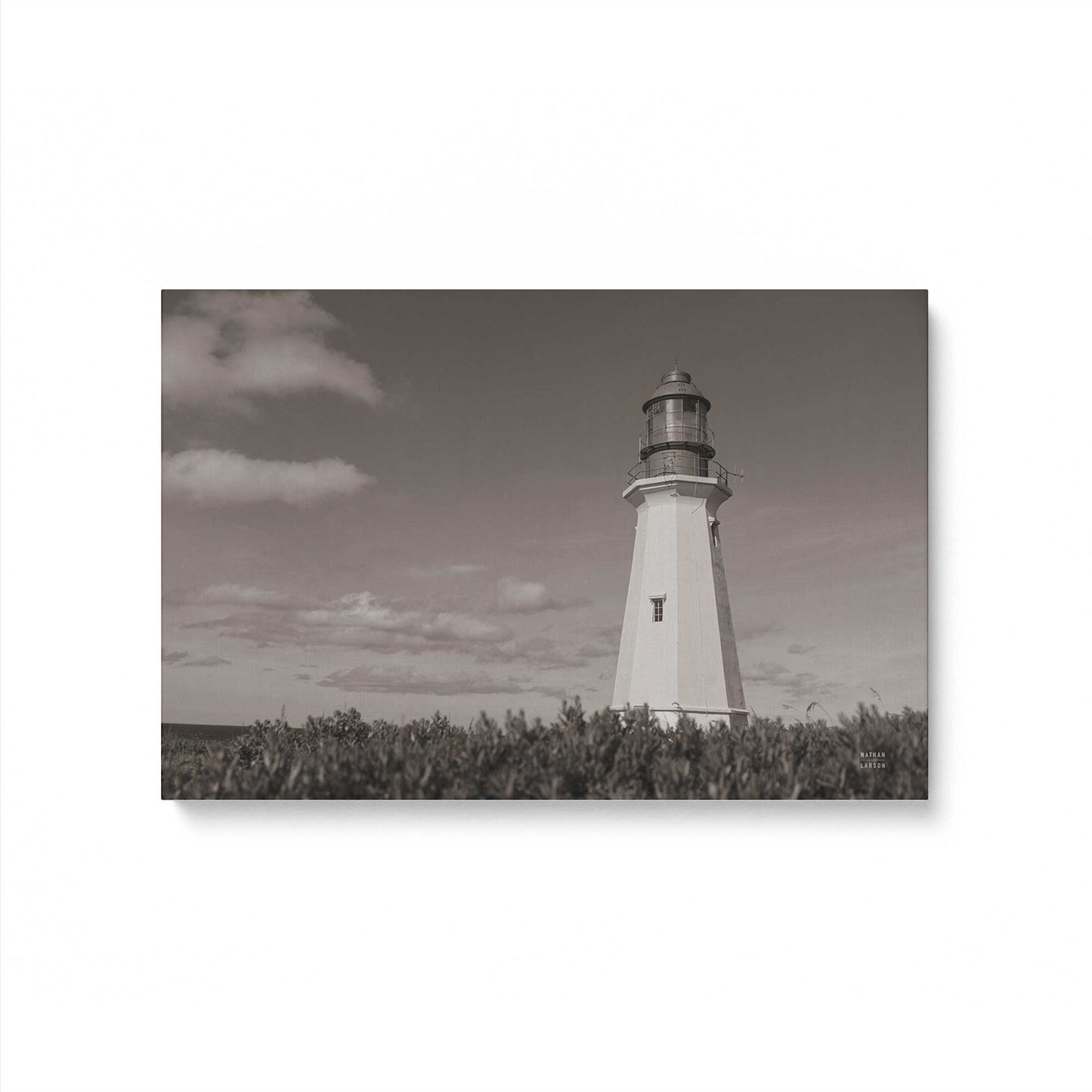 [Color:Stretched Canvas], Picture of art