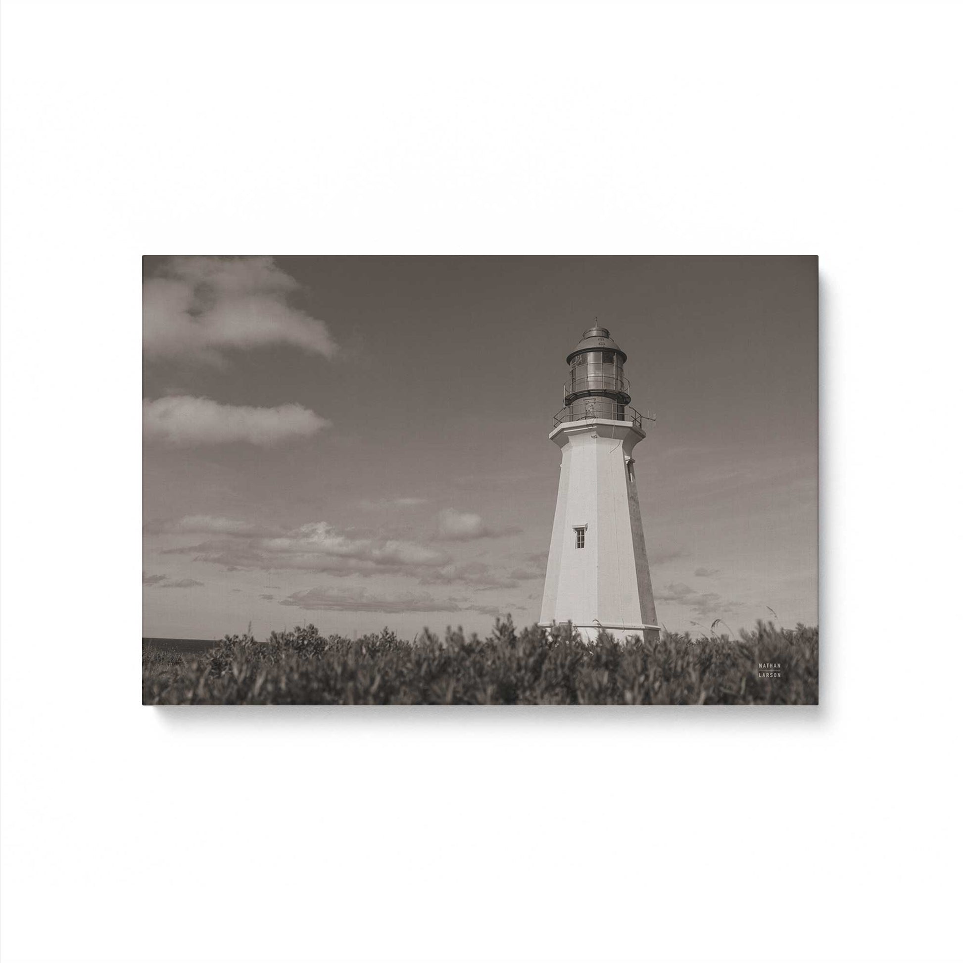 [Color:Stretched Canvas], Picture of art