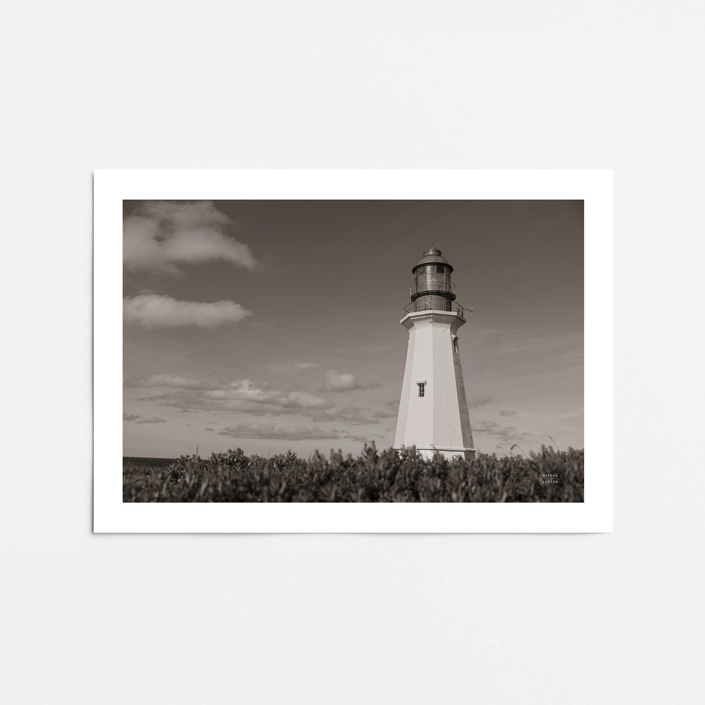 [Color:Rolled Print], Picture of close up of art