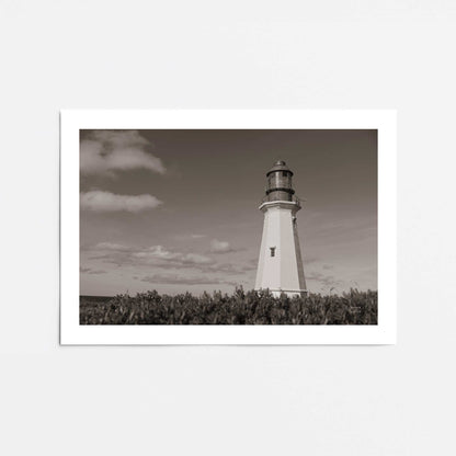 [Color:Rolled Print], Picture of close up of art