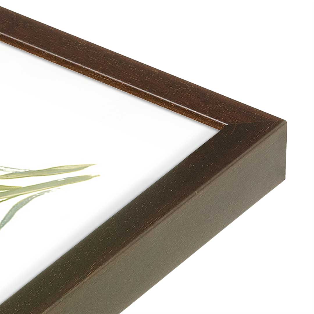 [Color:Belvinder Brown], Picture of art in a Belvinder Brown frame at an angle