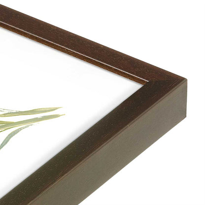 [Color:Belvinder Brown], Picture of art in a Belvinder Brown frame at an angle