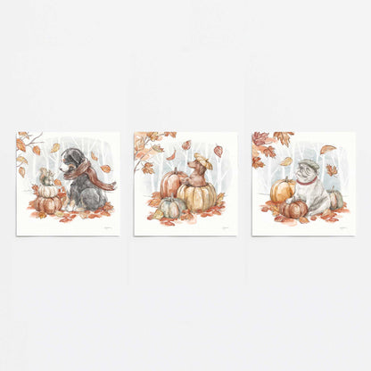 [color:Rolled Print], Picture of close up of art