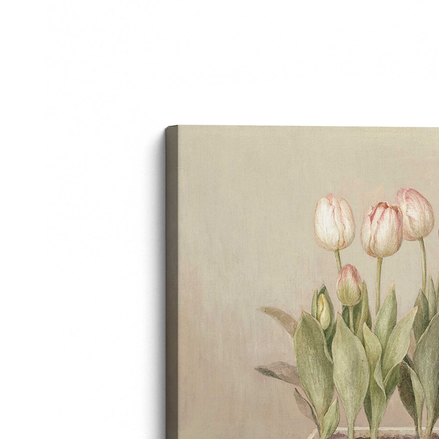 [Color:Stretched Canvas], Picture of the corner of the art