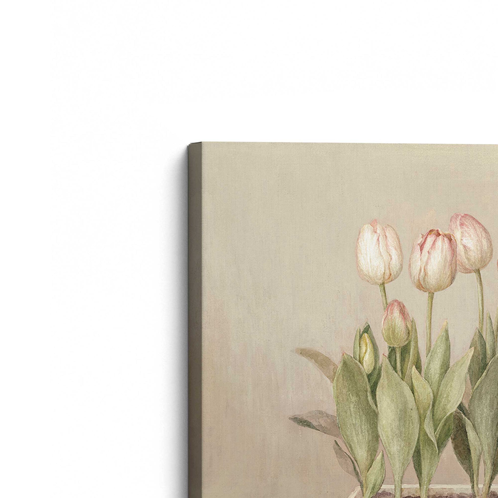 [Color:Stretched Canvas], Picture of the corner of the art