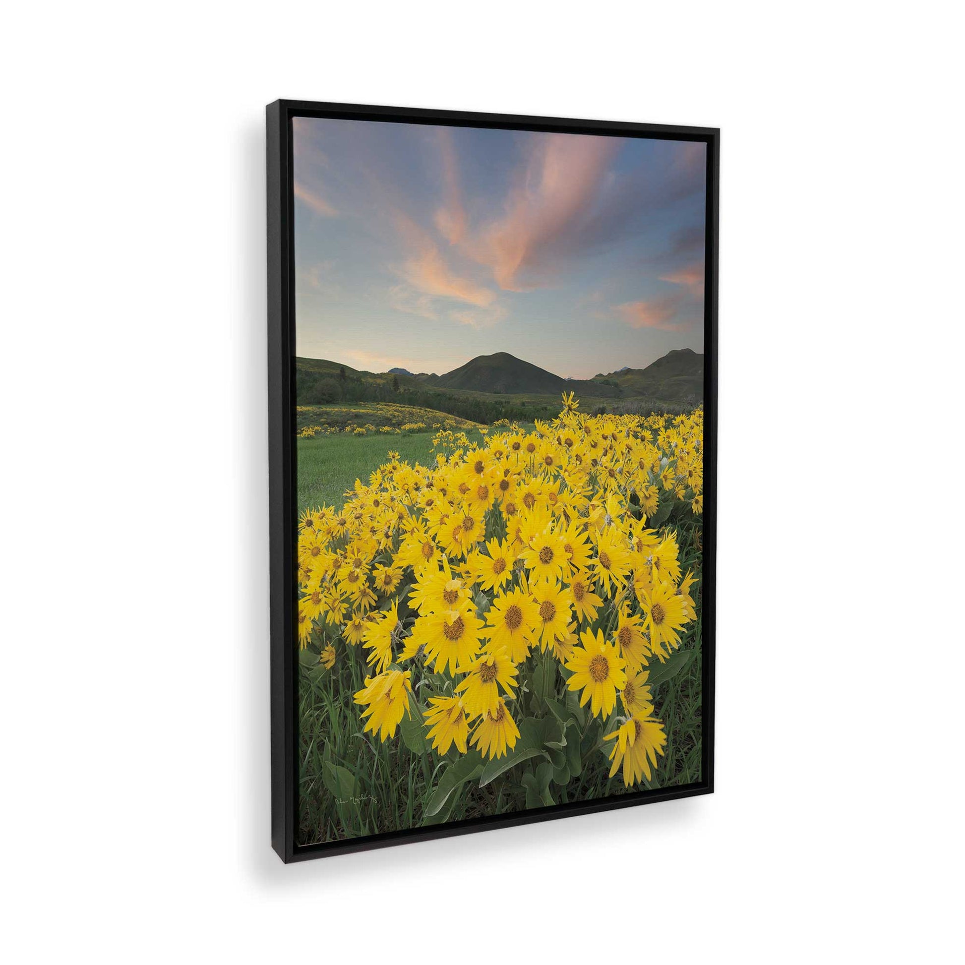 [Color:Satin Black], Picture of the corner of the art