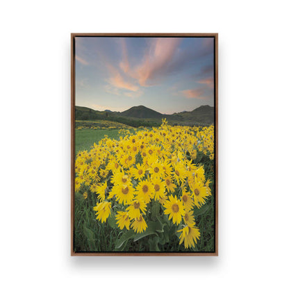 [Color:Walnut], Picture of art in a Walnut frame