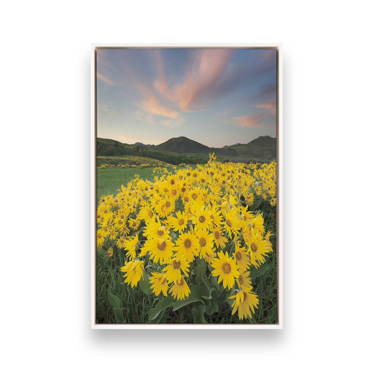 [Color:Opaque White], Picture of art in a White frame
