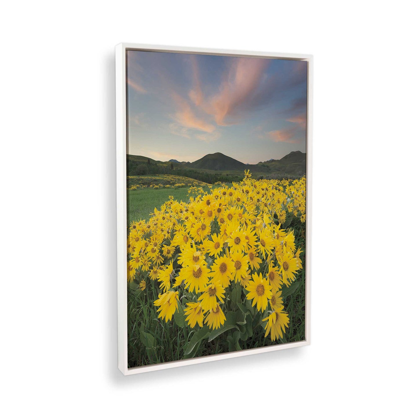 [Color:Opaque White], Picture of the corner of the art