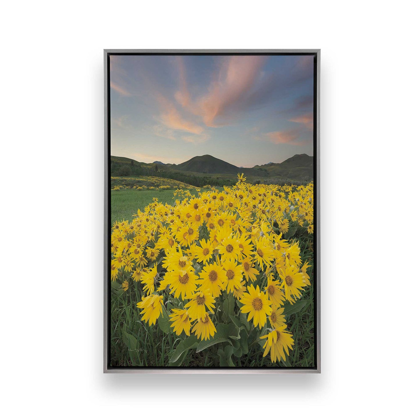 [Color:Polished Chrome], Picture of art in a Polished Chrome frame