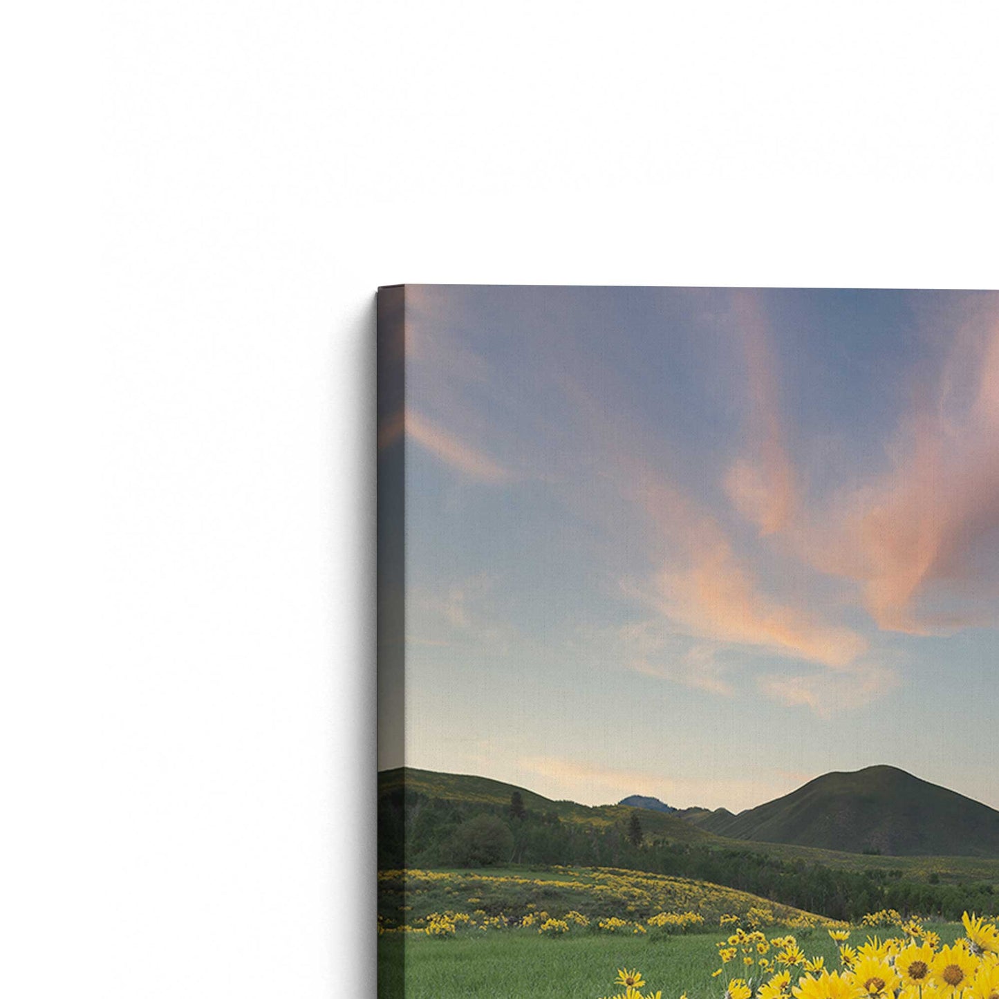 [Color:Stretched Canvas], Picture of the corner of the art