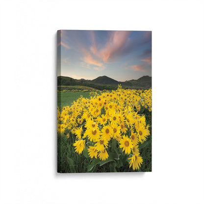 [Color:Stretched Canvas], Picture of art at an angle