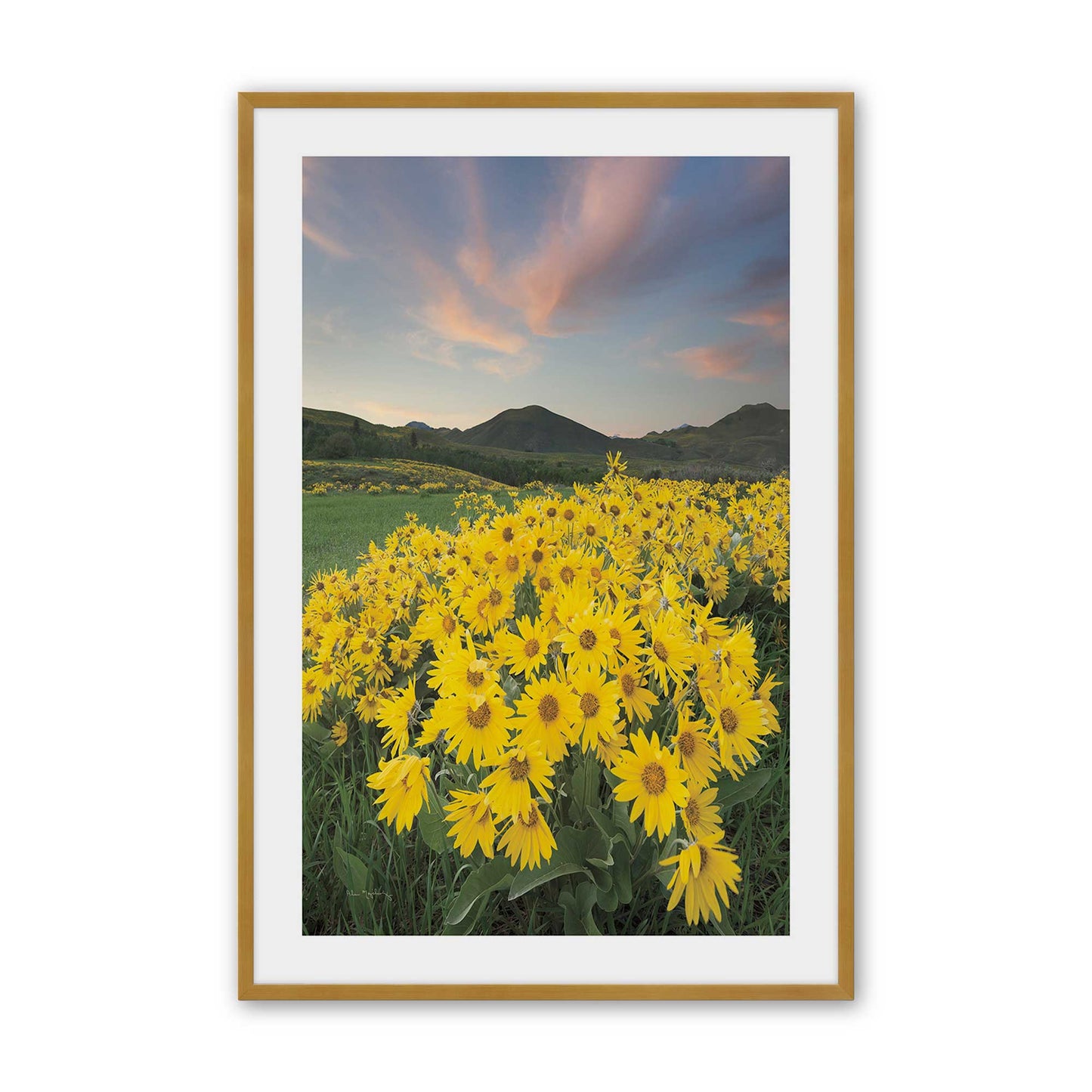 [Color:Polished Gold], Picture of art in a Polished Gold frame