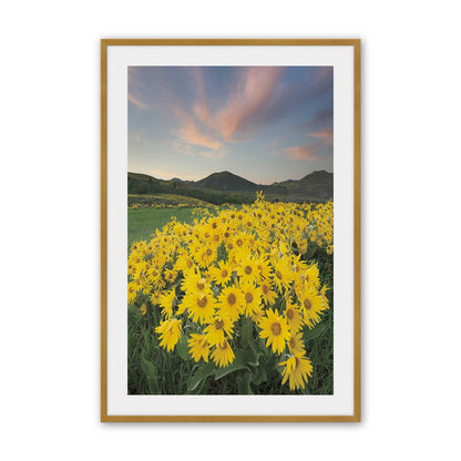 [Color:Polished Gold], Picture of art in a Polished Gold frame
