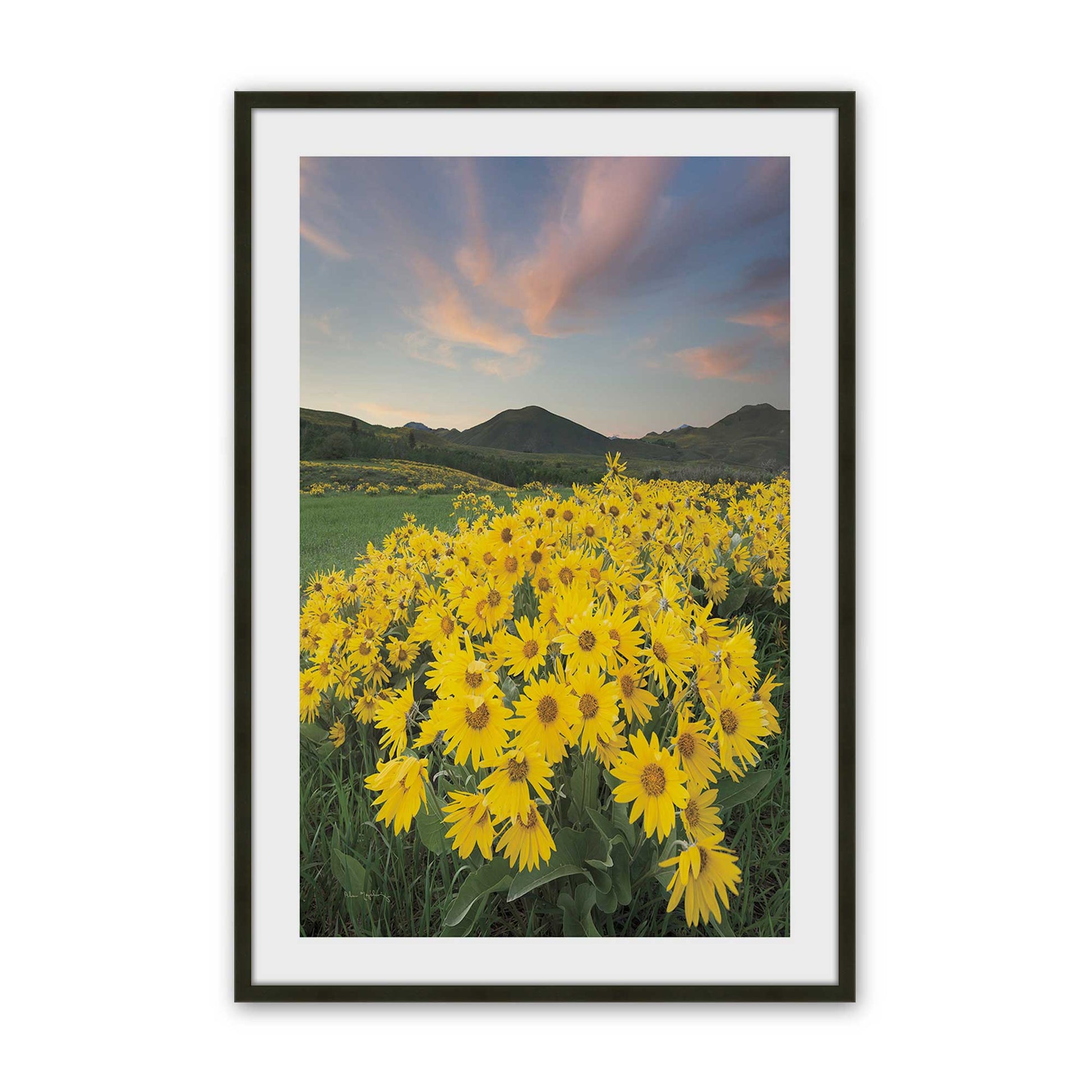 [Color:Satin Black], Picture of art in a Satin Black frame