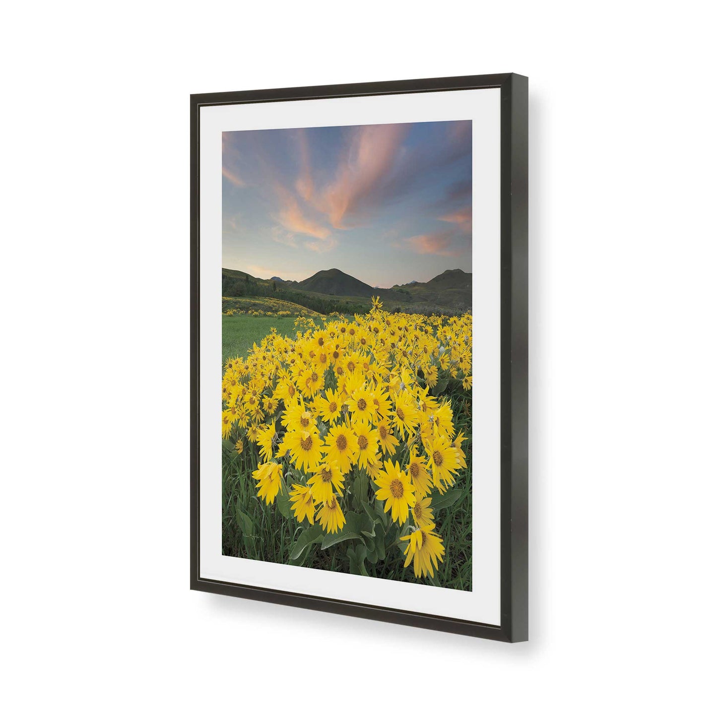 [Color:Satin Black], Picture of art in a Satin Black frame of the corner