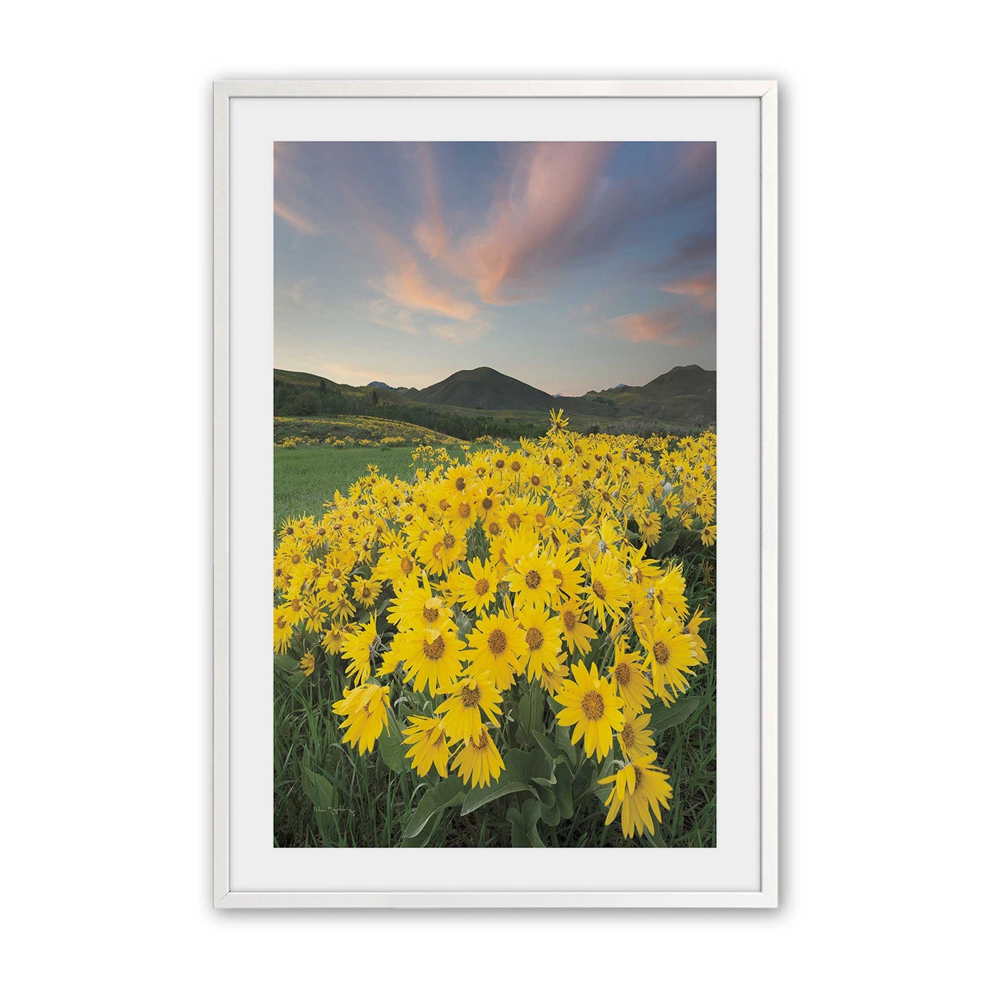 [Color:Opaque White], Picture of art in a Opaque White frame