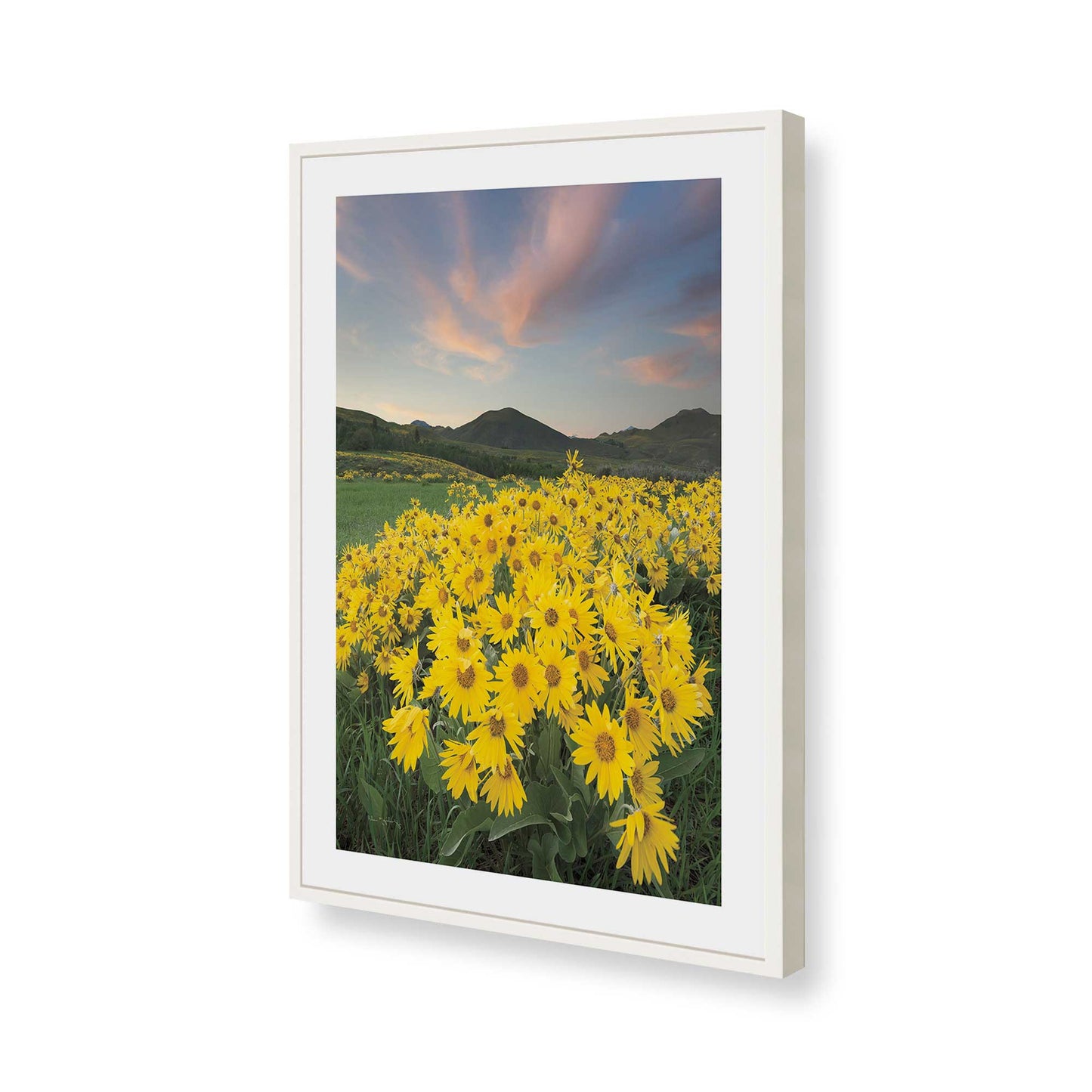 [Color:Opaque White], Picture of art in a Opaque White frame of the corner