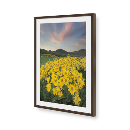 [Color:Belvinder Brown], Picture of art in a Belvinder Brown frame of the corner