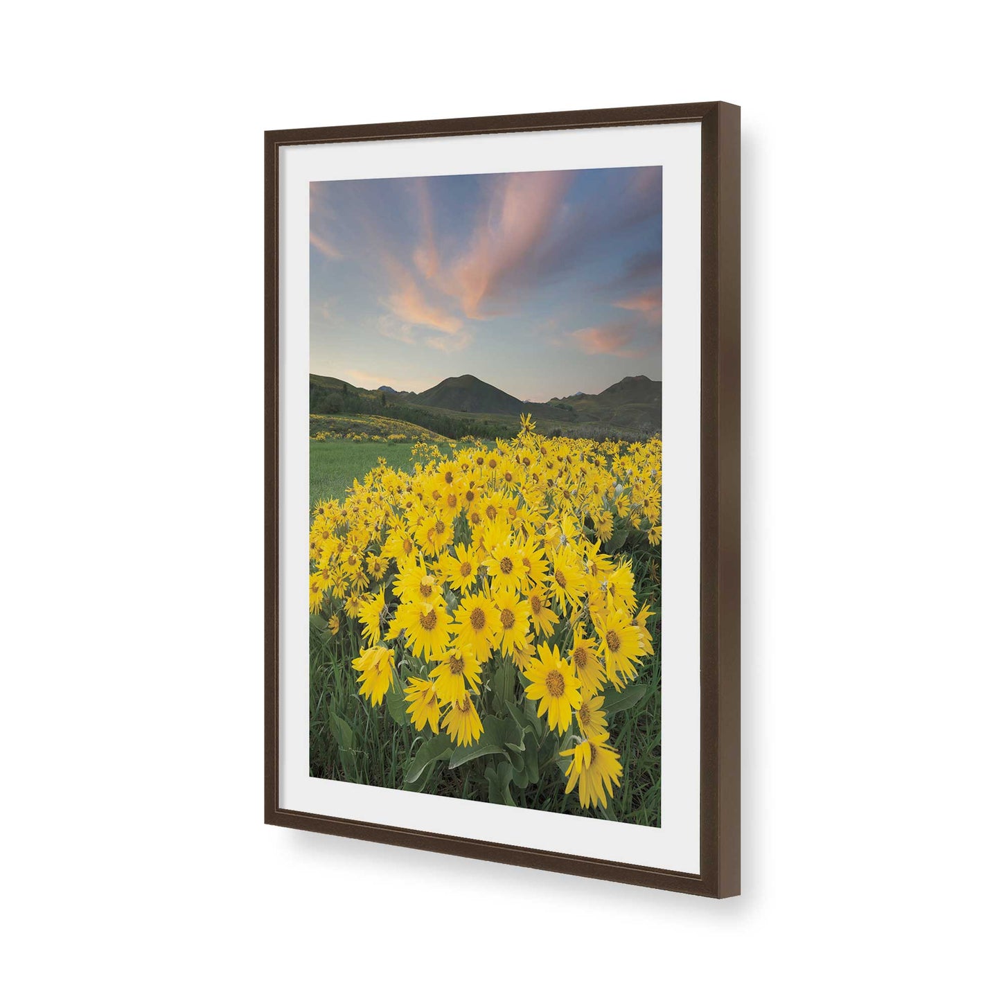 [Color:Brown], Picture of art in a Brown frame of the corner